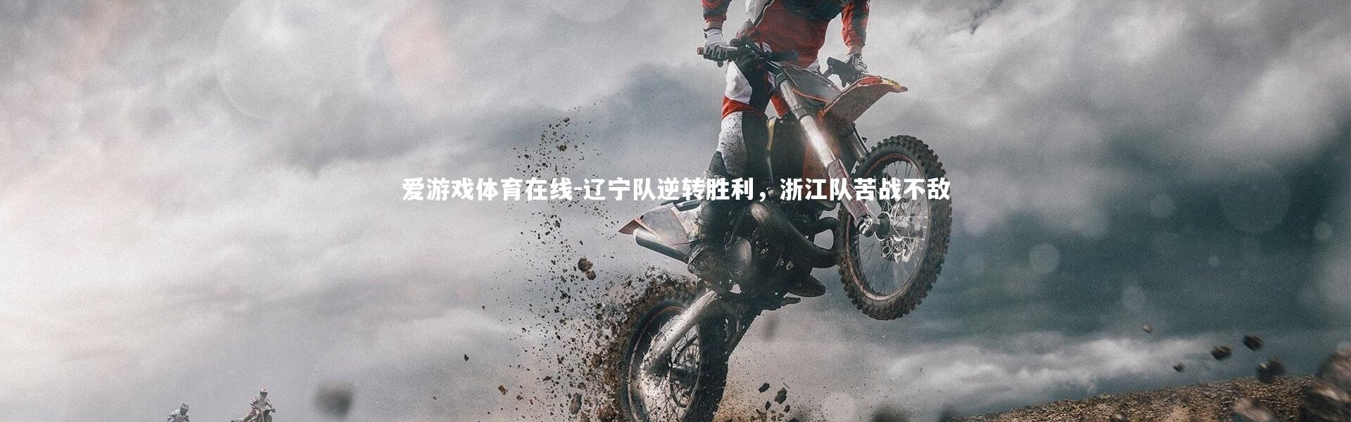 爱游戏体育在线-辽宁队逆转胜利，浙江队苦战不敌