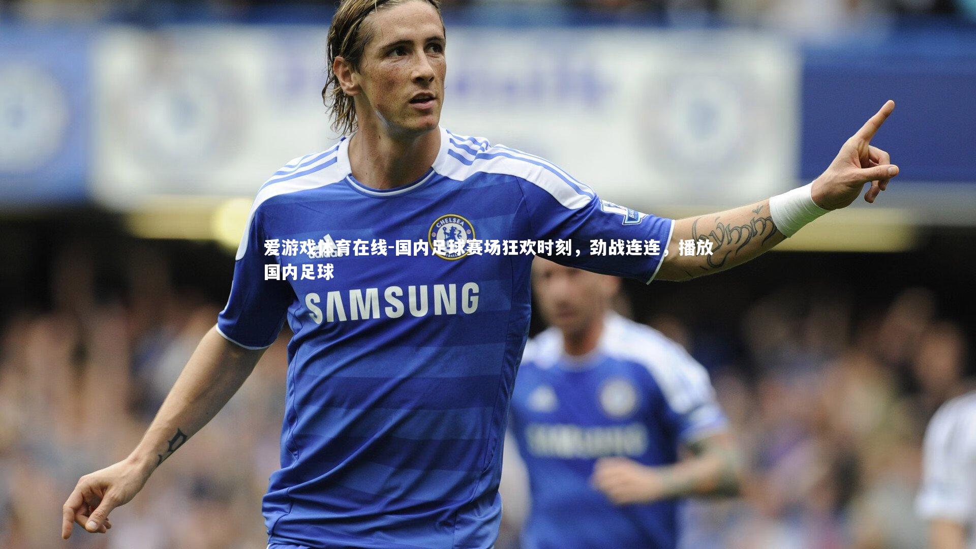 国内足球赛场狂欢时刻,劲战连连,播放国内足球